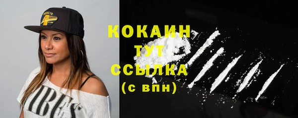 шишки Магадан