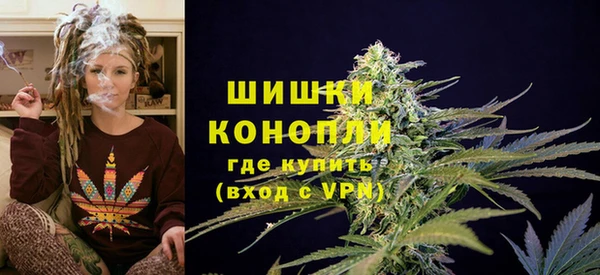 сатива Нязепетровск