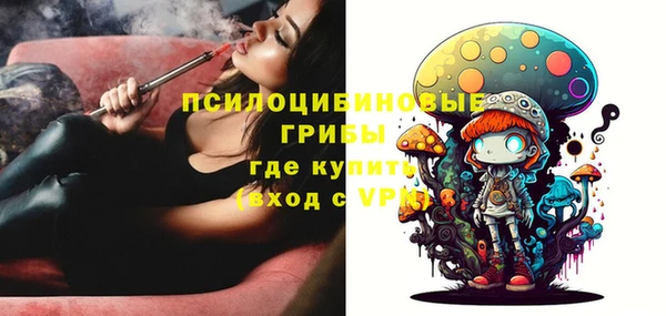 гидропоника Магас