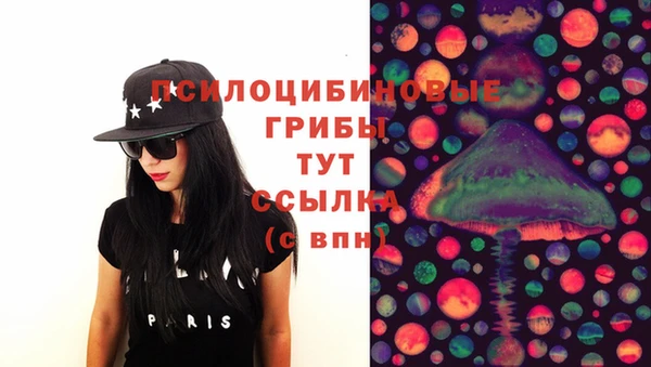 шишки Магадан